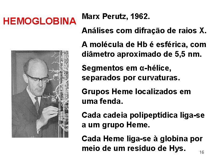 HEMOGLOBINA Marx Perutz, 1962. Análises com difração de raios X. A molécula de Hb