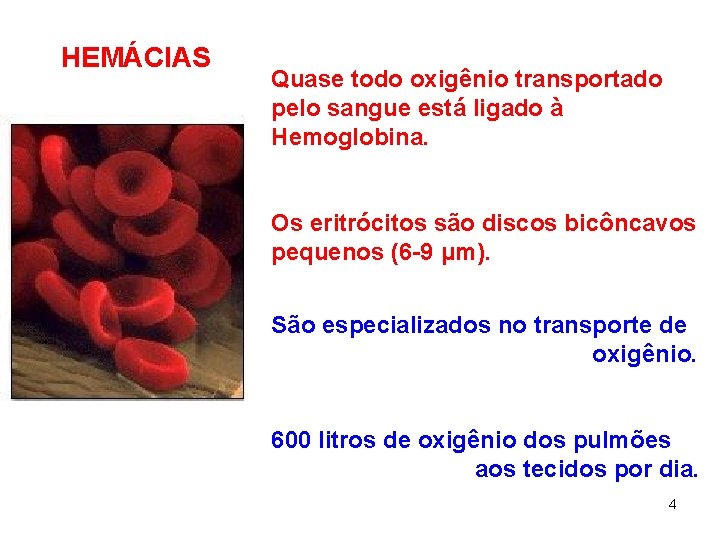 HEMÁCIAS Quase todo oxigênio transportado pelo sangue está ligado à Hemoglobina. Os eritrócitos são