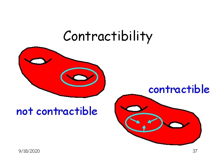 Contractibility contractible not contractible 9/18/2020 37 