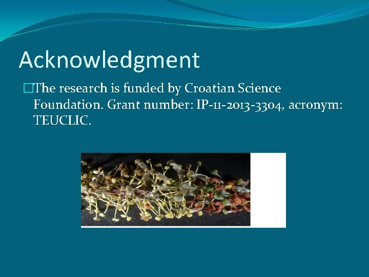Acknowledgment �The research is funded by Croatian Science Foundation. Grant number: IP-11 -2013 -3304,