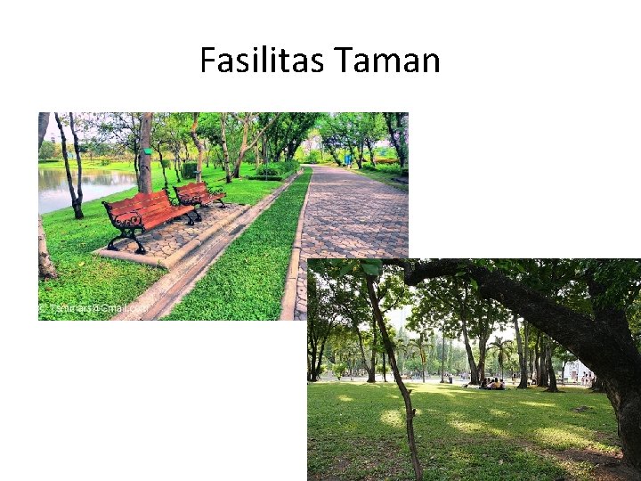 Fasilitas Taman 