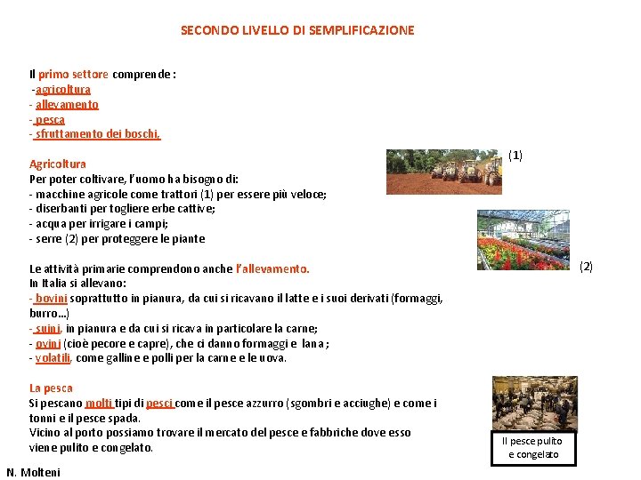 SECONDO LIVELLO DI SEMPLIFICAZIONE Il primo settore comprende : -agricoltura - allevamento - pesca