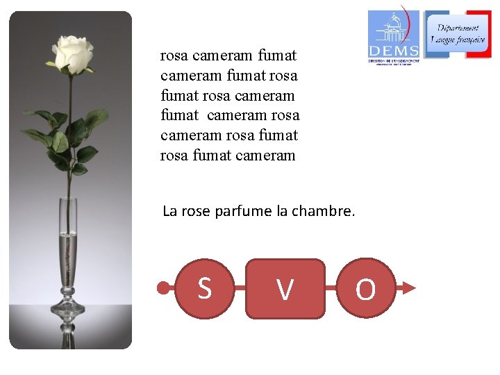 rosa cameram fumat rosa cameram fumat cameram rosa fumat cameram La rose parfume la