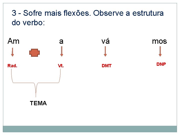 3 - Sofre mais flexões. Observe a estrutura do verbo: Am a vá mos