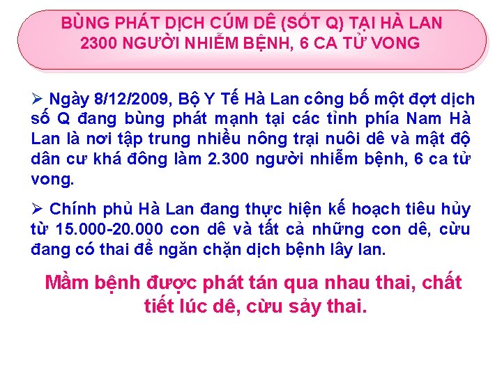 BÙNG PHÁT DỊCH CÚM DÊ (SỐT Q) TẠI HÀ LAN 2300 NGƯỜI NHIỄM BỆNH,