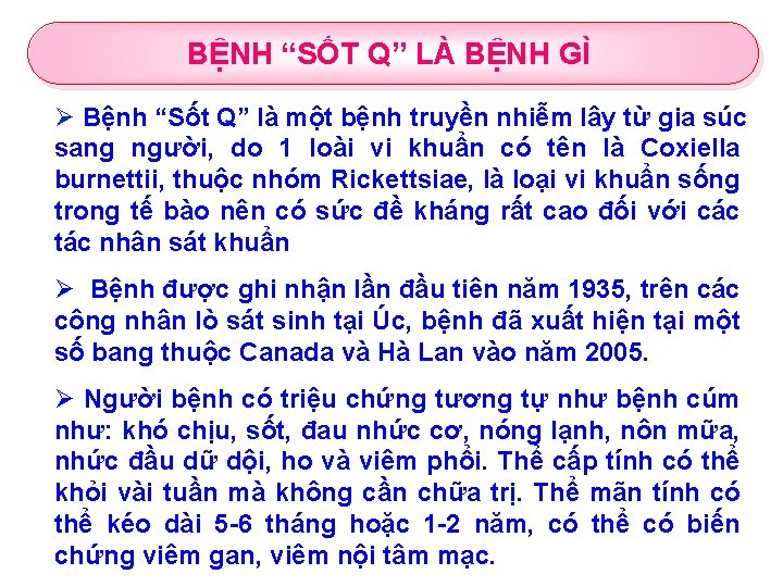 BỆNH “SỐT Q” LÀ BỆNH GÌ Ø Bệnh “Sốt Q” là một bệnh truyền