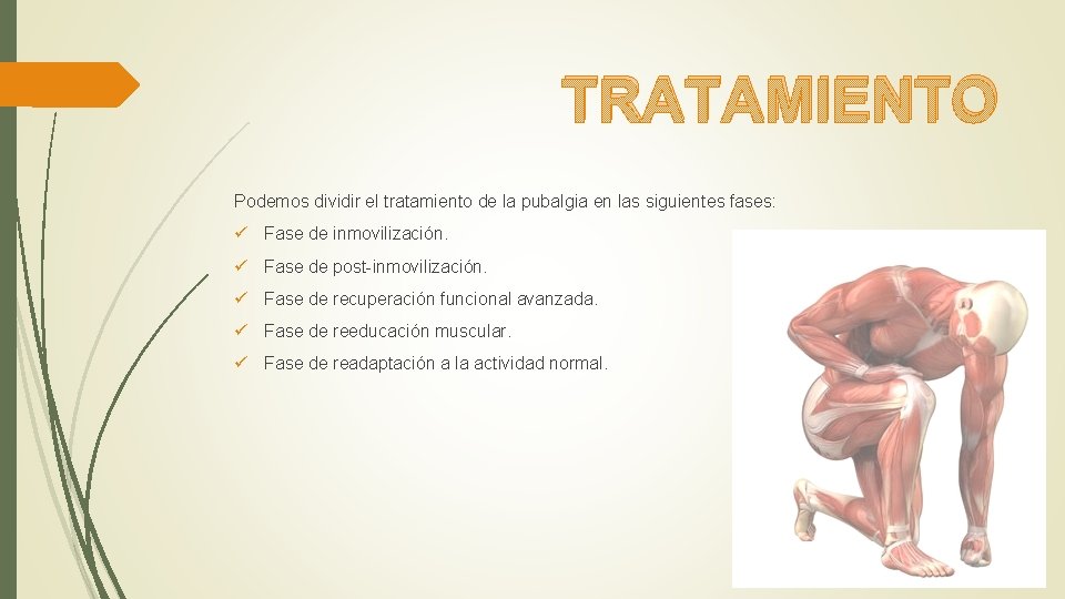 TRATAMIENTO Podemos dividir el tratamiento de la pubalgia en las siguientes fases: ü Fase