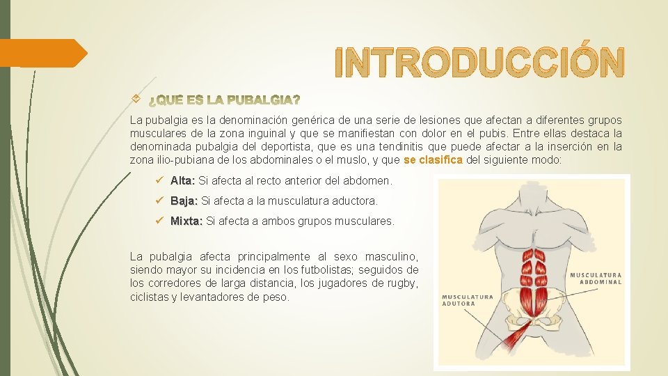 INTRODUCCIÓN La pubalgia es la denominación genérica de una serie de lesiones que afectan