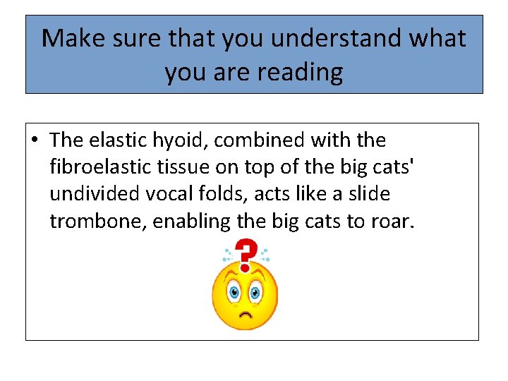 Make sure that you understand what you are reading • The elastic hyoid, combined