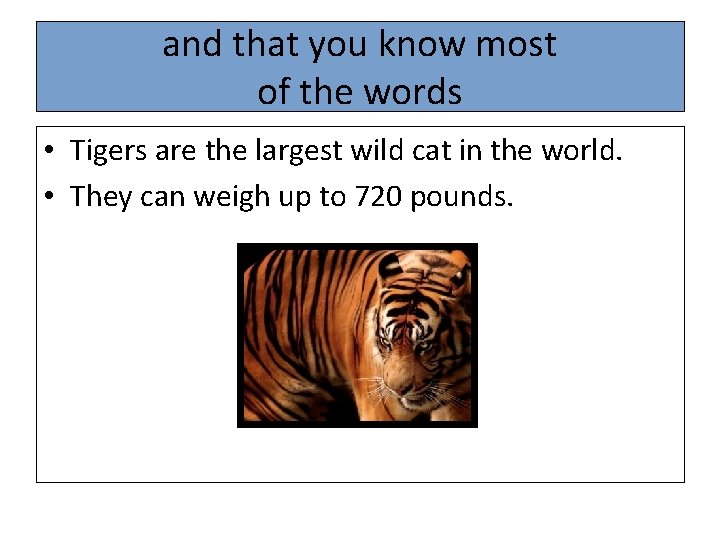 and that you know most of the words • Tigers are the largest wild