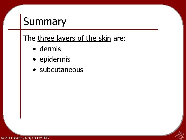 Summary The three layers of the skin are: • dermis • epidermis • subcutaneous