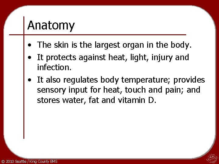 Anatomy • The skin is the largest organ in the body. • It protects