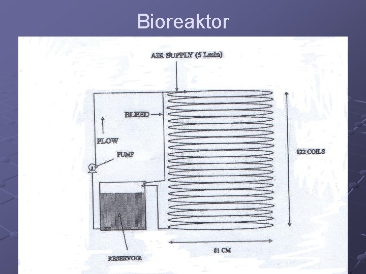 Bioreaktor 