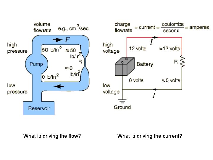 What is driving the flow? What is driving the current? 