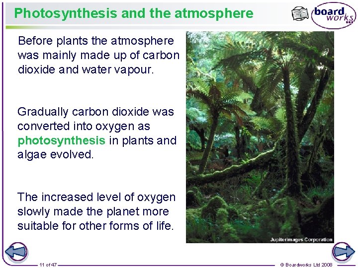 Photosynthesis and the atmosphere Before plants the atmosphere was mainly made up of carbon