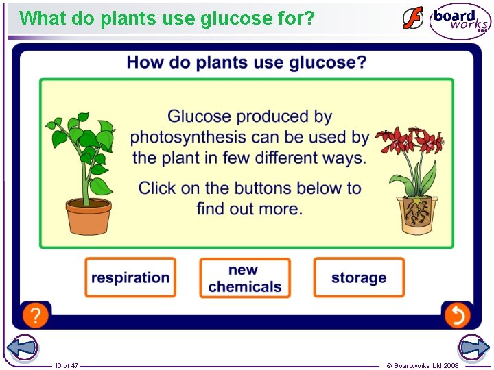 What do plants use glucose for? 16 of 47 © Boardworks Ltd 2008 