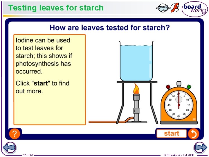 Testing leaves for starch 17 of 47 © Boardworks Ltd 2008 