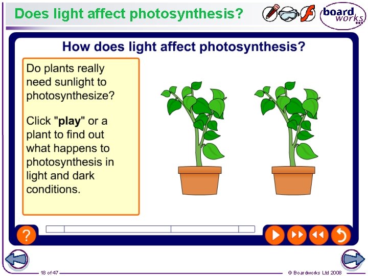 Does light affect photosynthesis? 18 of 47 © Boardworks Ltd 2008 