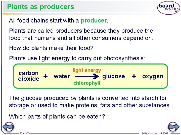 Plants as producers All food chains start with a producer. Plants are called producers