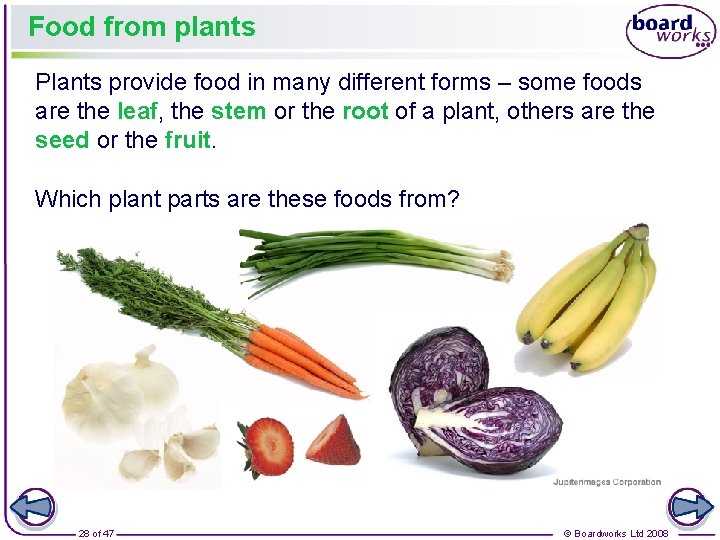 Food from plants Plants provide food in many different forms – some foods are