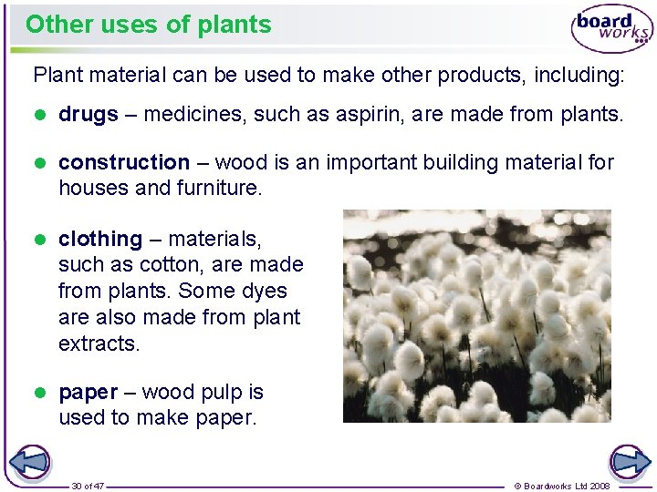 Other uses of plants Plant material can be used to make other products, including: