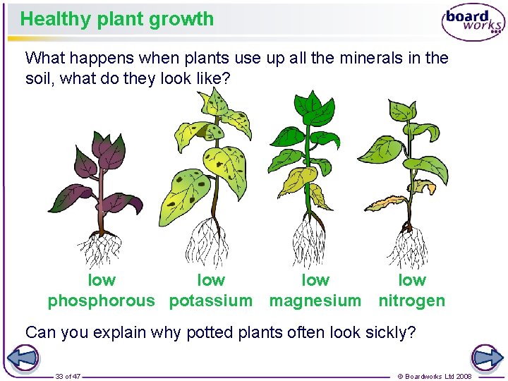 Healthy plant growth What happens when plants use up all the minerals in the