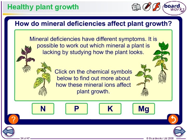Healthy plant growth 34 of 47 © Boardworks Ltd 2008 