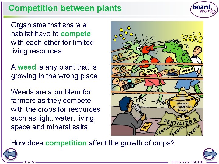 Competition between plants Organisms that share a habitat have to compete with each other