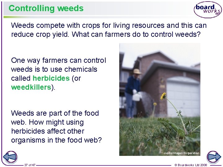 Controlling weeds Weeds compete with crops for living resources and this can reduce crop