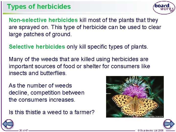 Types of herbicides Non-selective herbicides kill most of the plants that they are sprayed