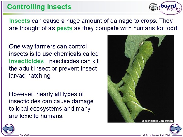 Controlling insects Insects can cause a huge amount of damage to crops. They are