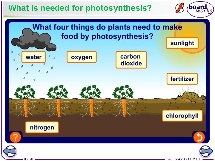 What is needed for photosynthesis? 9 of 47 © Boardworks Ltd 2008 