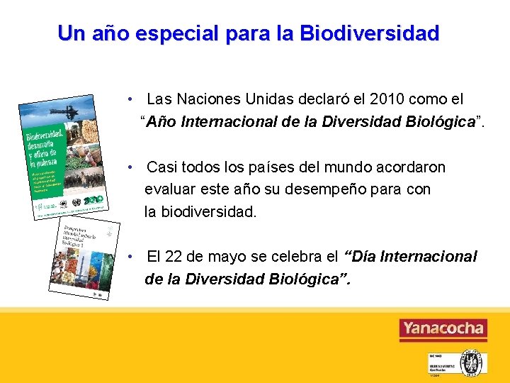 Un año especial para la Biodiversidad • Las Naciones Unidas declaró el 2010 como