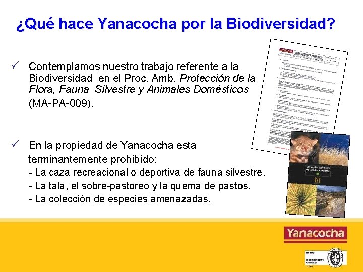 ¿Qué hace Yanacocha por la Biodiversidad? Contemplamos nuestro trabajo referente a la Biodiversidad en