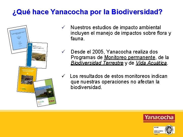 ¿Qué hace Yanacocha por la Biodiversidad? Nuestros estudios de impacto ambiental incluyen el manejo