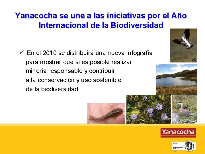 Yanacocha se une a las iniciativas por el Año Internacional de la Biodiversidad En
