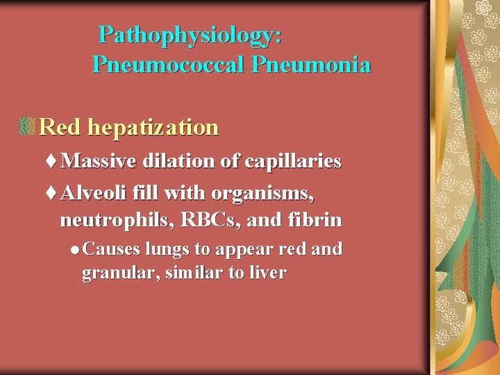 Pathophysiology: Pneumococcal Pneumonia Red hepatization t Massive dilation of capillaries t Alveoli fill with