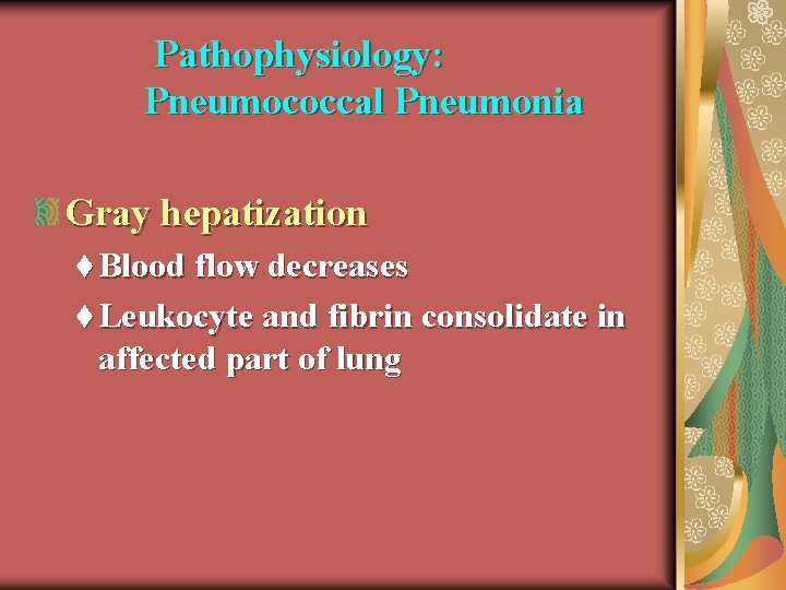 Pathophysiology: Pneumococcal Pneumonia Gray hepatization t Blood flow decreases t Leukocyte and fibrin consolidate