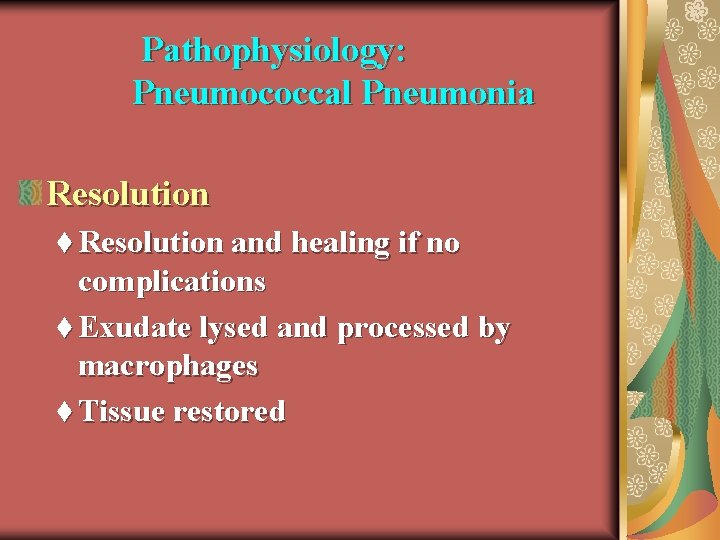 Pathophysiology: Pneumococcal Pneumonia Resolution t Resolution and healing if no complications t Exudate lysed