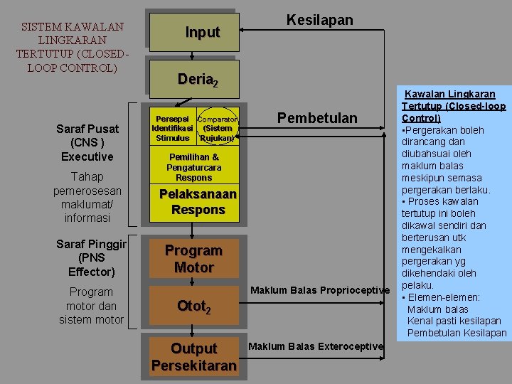 SISTEM KAWALAN LINGKARAN TERTUTUP (CLOSEDLOOP CONTROL) Saraf Pusat (CNS ) Executive Tahap pemerosesan maklumat/ SISTEM KAWALAN LINGKARAN TERTUTUP (CLOSEDLOOP CONTROL) Saraf Pusat (CNS ) Executive Tahap pemerosesan maklumat/