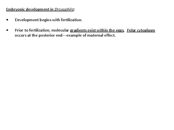 Embryonic development in Drosophila: • Development begins with fertilization. • Prior to fertilization, molecular