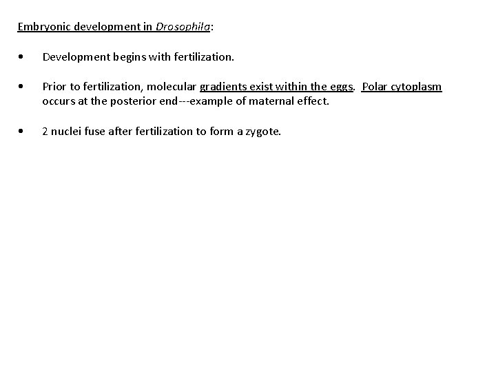 Embryonic development in Drosophila: • Development begins with fertilization. • Prior to fertilization, molecular