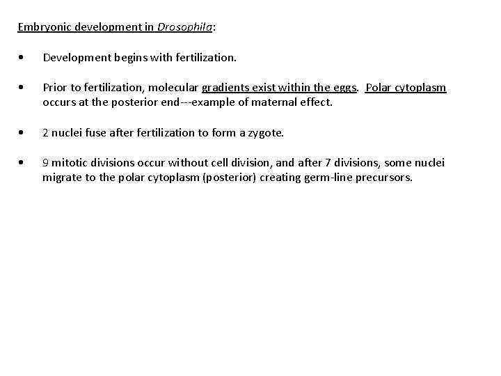 Embryonic development in Drosophila: • Development begins with fertilization. • Prior to fertilization, molecular