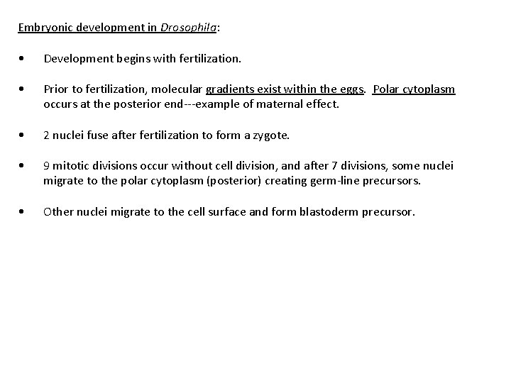 Embryonic development in Drosophila: • Development begins with fertilization. • Prior to fertilization, molecular