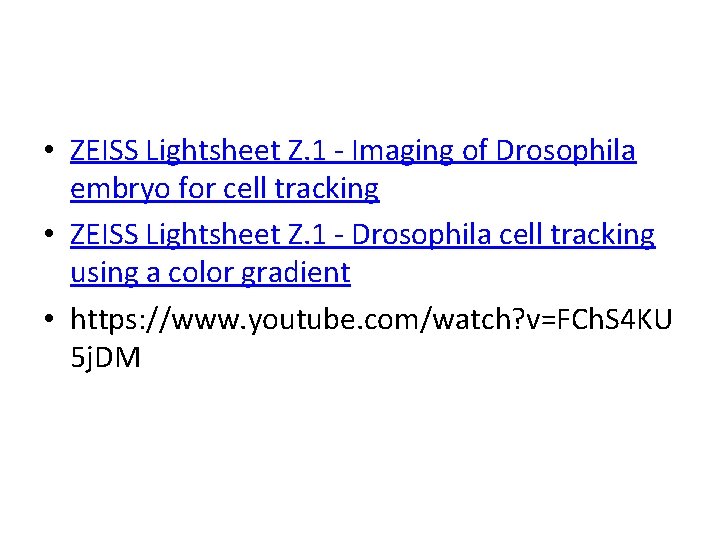  • ZEISS Lightsheet Z. 1 - Imaging of Drosophila embryo for cell tracking