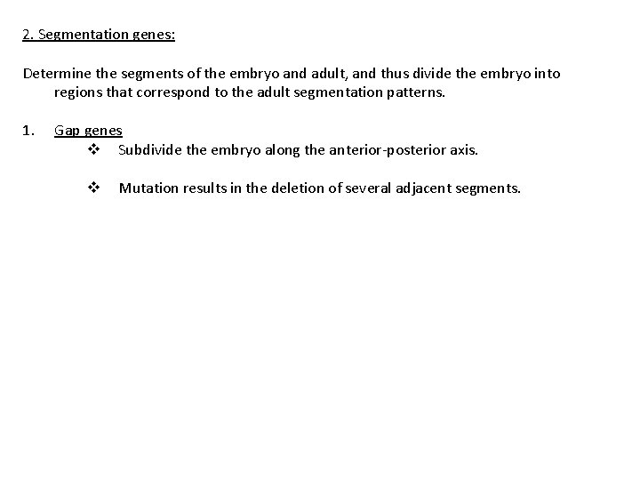 2. Segmentation genes: Determine the segments of the embryo and adult, and thus divide