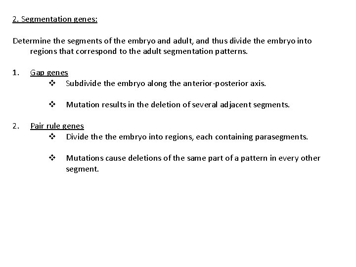 2. Segmentation genes: Determine the segments of the embryo and adult, and thus divide