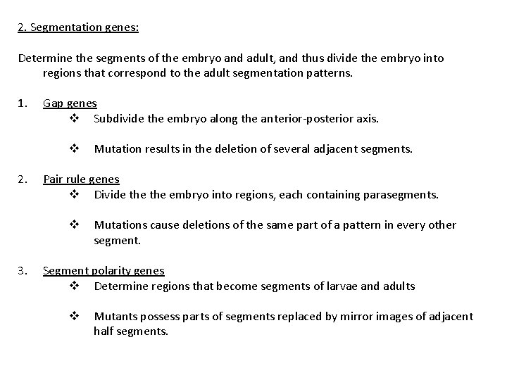 2. Segmentation genes: Determine the segments of the embryo and adult, and thus divide
