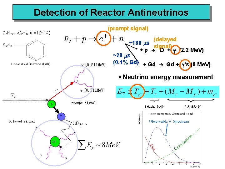 Detection of Reactor Antineutrinos (prompt signal) (delayed ~180 ms signal) + p D +