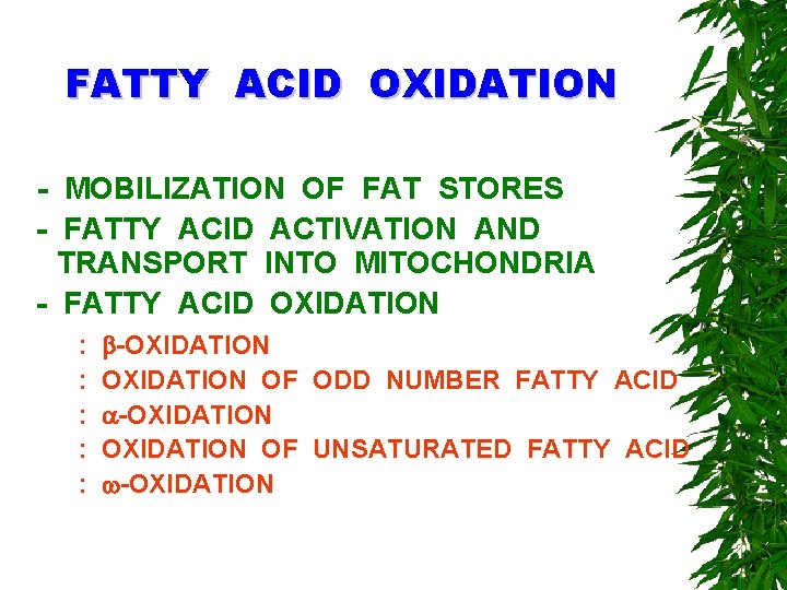 FATTY ACID OXIDATION - MOBILIZATION OF FAT STORES - FATTY ACID ACTIVATION AND TRANSPORT